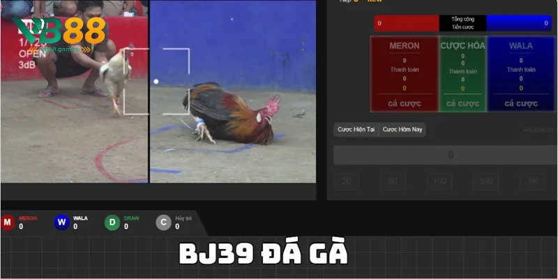 BJ39 Đá Gà - Trải Nghiệm Sảnh Game Cá Cược Kịch Tính 1 bj39 đá gà