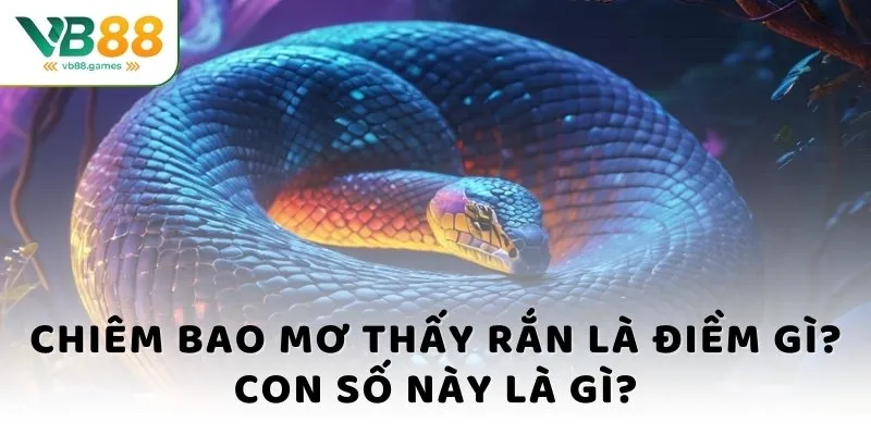 Mơ thấy rắn là điềm gì - Giải mộng chuẩn, chốt số siêu nhanh 4 Chiêm bao mơ thấy rắn là điềm gì? Con số này là gì?