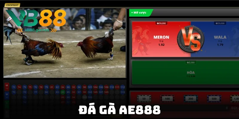 Đá Gà AE888 - Lựa Chọn Tuyệt Vời Để Cá Cược 2025 1 đá gà ae888