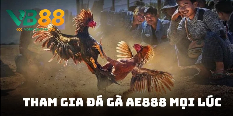 Đá Gà AE888 - Lựa Chọn Tuyệt Vời Để Cá Cược 2025 3 Dễ dàng tham gia cực trận đá mọi thời điểm