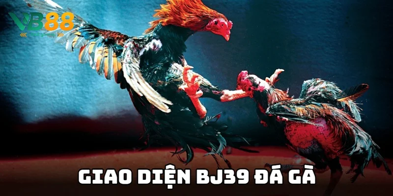BJ39 Đá Gà - Trải Nghiệm Sảnh Game Cá Cược Kịch Tính 3 Giao diện chính nhà cái thiết kế khoa học