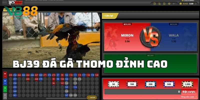 BJ39 Đá Gà - Trải Nghiệm Sảnh Game Cá Cược Kịch Tính 4 Sảnh cược đá gà Thomo đầy hấp dẫn