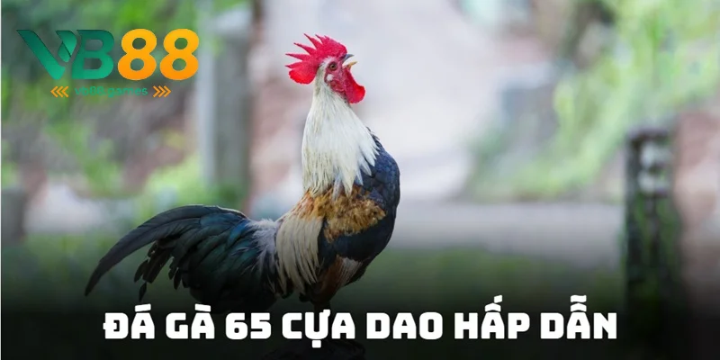 Đá Gà 65 - Địa Chỉ Cá Cược Đủ Thể Loại Kèo Hấp Dẫn 2025 4 Tận hưởng tỷ lệ cược đầy hấp dẫn